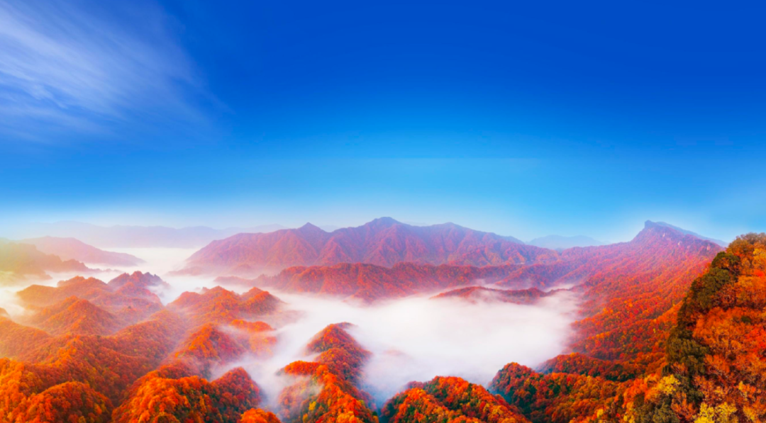 世界溶洞博, img, 益高涨